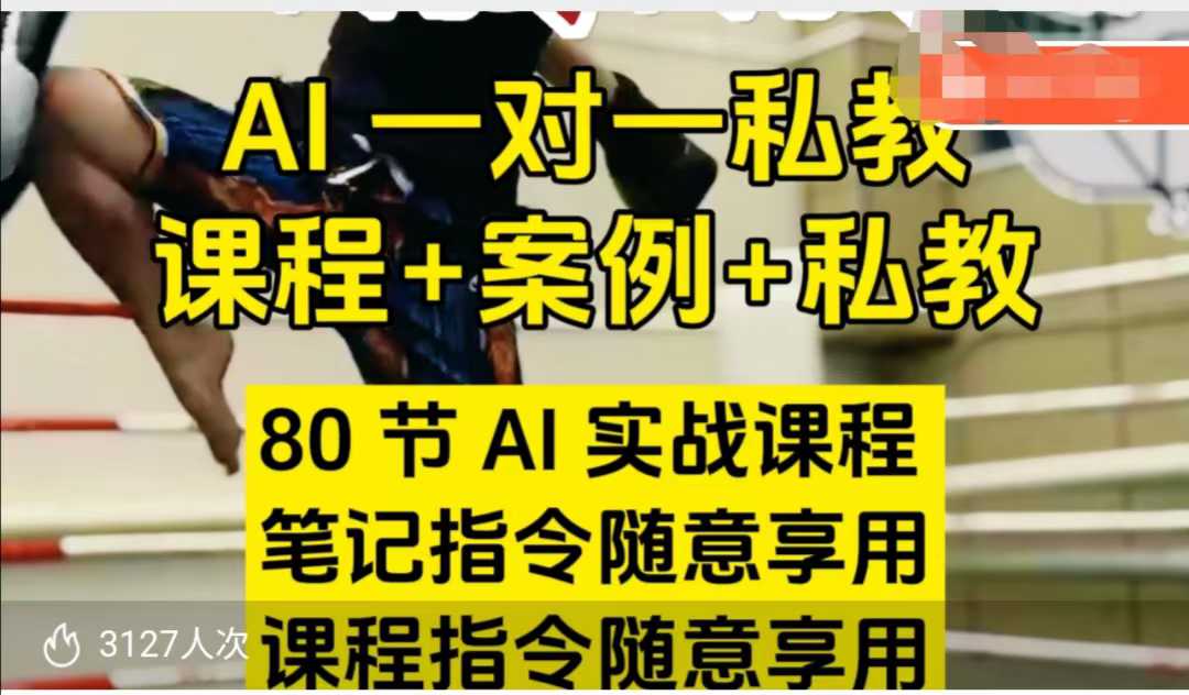 AI指令实战课，课程+案例，80节AI实战课程，笔记指令随意享用，课程指令随意享用(更新7月)搞副业-副业刚需-兼职-网赚搞副业网
