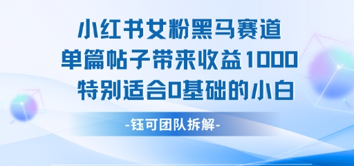 小红书女粉黑马赛道单篇帖子带来收益1k+，特别适合0基础的小白搞副业-副业刚需-兼职-网赚搞副业网