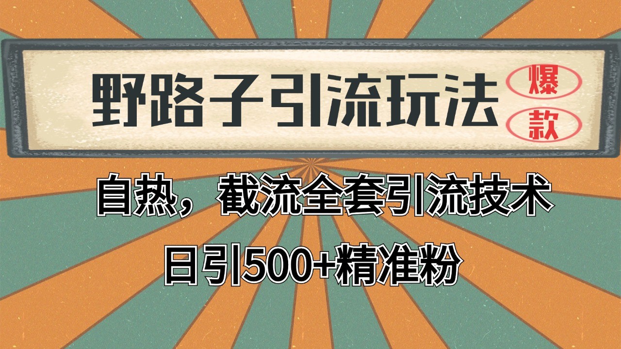 2024首发野路子引流玩法截流自热全平台打法，全自动引流【日引2000+精准客户】搞副业-副业刚需-兼职-网赚搞副业网