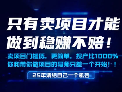 只有卖项目才能做到稳挣不赔，门槛低，更简单，你也可以年入百个W【揭秘】搞副业-副业刚需-兼职-网赚搞副业网