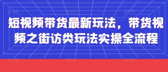 短视频带货最新玩法，带货视频之街访类玩法实操全流程搞副业-副业刚需-兼职-网赚搞副业网