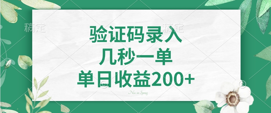 验证码录入，几秒一单，单日收益200+搞副业-副业刚需-兼职-网赚搞副业网