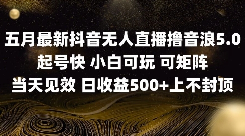 2025五月最新无人直播撸音浪单日产出5张+实操教程【揭秘】搞副业-副业刚需-兼职-网赚搞副业网