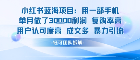 小红书蓝海项目，一部手机单月做了3W利润，小白也能月入过1W用户认可度高成交多搞副业-副业刚需-兼职-网赚搞副业网