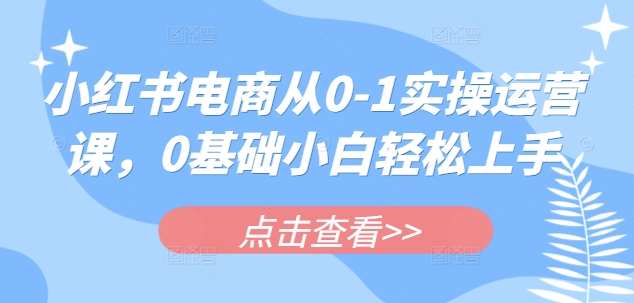 小红书电商从0-1实操运营课，0基础小白轻松上手搞副业-副业刚需-兼职-网赚搞副业网