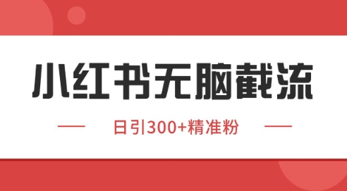 小红书截流同行客源，独家野路子获客玩法 日引200+暴力获客【揭秘】搞副业-副业刚需-兼职-网赚搞副业网