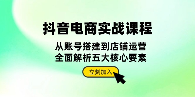 抖音 电商实战课程：从账号搭建到店铺运营，全面解析五大核心要素搞副业-副业刚需-兼职-网赚搞副业网