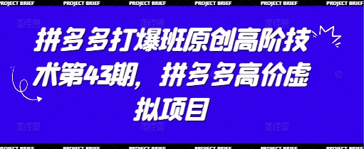 拼多多打爆班原创高阶技术第43期，拼多多高价虚拟项目搞副业-副业刚需-兼职-网赚搞副业网