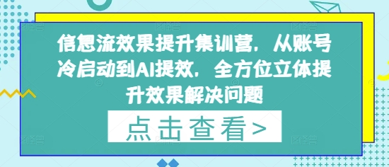 信息流效果提升集训营，从账号冷启动到AI提效，全方位立体提升效果解决问题搞副业-副业刚需-兼职-网赚搞副业网