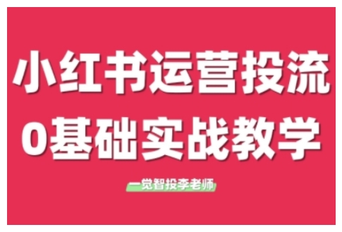 小红书运营投流，小红书广告投放从0到1的实战课，学完即可开始投放(更新)搞副业-副业刚需-兼职-网赚搞副业网