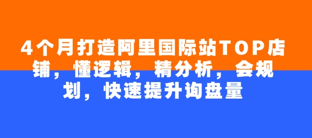 4个月打造阿里国际站TOP店铺，懂逻辑，精分析，会规划，快速提升询盘量搞副业-副业刚需-兼职-网赚搞副业网
