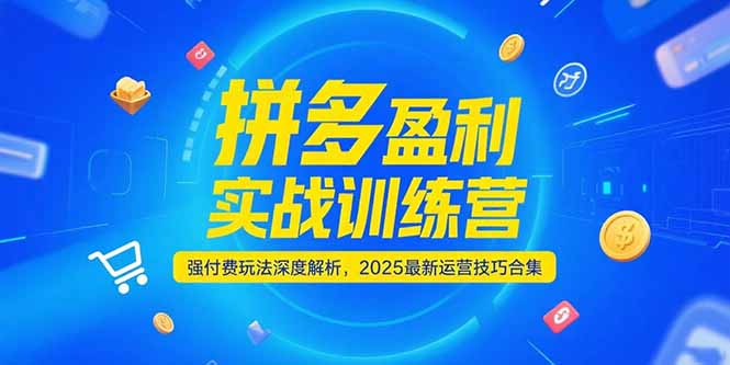 拼多多盈利实战训练营，强付费玩法深度解析，2025运营技巧合集-更新6月搞副业-副业刚需-兼职-网赚搞副业网