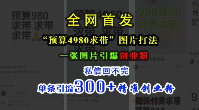 小红书“预算4980带我飞”图片打法，一张图片引爆创业粉，私信回不完，单条引流300+精准创业粉搞副业-副业刚需-兼职-网赚搞副业网