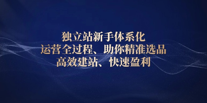 独立站新手体系化 运营全过程，助你精准选品、高效建站、快速盈利搞副业-副业刚需-兼职-网赚搞副业网