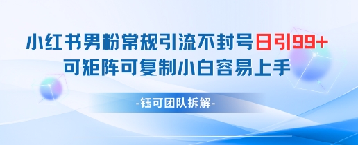 小红书男粉常规引流不封号日引99+变现简单 可矩阵可复制小白容易上手搞副业-副业刚需-兼职-网赚搞副业网