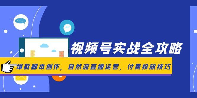 视频号实战全攻略，爆款脚本创作，自然流直播运营，付费投放技巧搞副业-副业刚需-兼职-网赚搞副业网