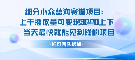 小众蓝海赛道项目：当天变现1k+适合新手操作 +适合长期玩搞副业-副业刚需-兼职-网赚搞副业网