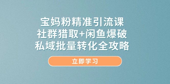 宝妈粉精准引流课，社群猎取+闲鱼爆破，私域批量转化全攻略搞副业-副业刚需-兼职-网赚搞副业网
