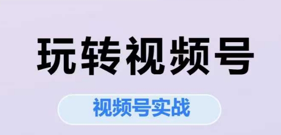 玩转视频号，视频号实战系列课搞副业-副业刚需-兼职-网赚搞副业网