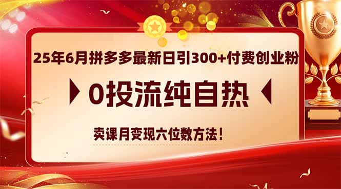 25年6月拼多多最新日引300+付费创业粉，0投流纯自热 卖课月变现六位数方法搞副业-副业刚需-兼职-网赚搞副业网