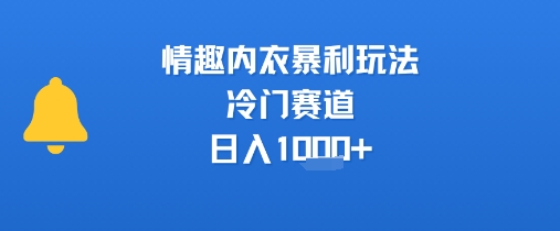 情趣内衣暴利玩法，冷门赛道，日入1k+搞副业-副业刚需-兼职-网赚搞副业网