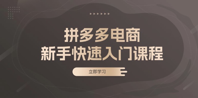 拼多多电商新手快速入门课程：涵盖基础、实战与选款，助力小白轻松上手搞副业-副业刚需-兼职-网赚搞副业网