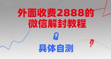 外面收费2888的微信解封教程，具体自测搞副业-副业刚需-兼职-网赚搞副业网